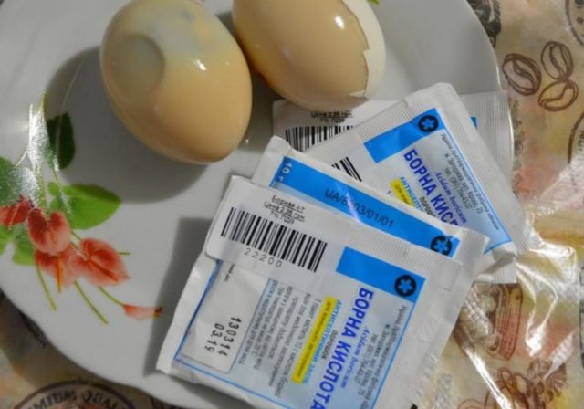 Как избавится от тараканов с помощью борной кислоты?